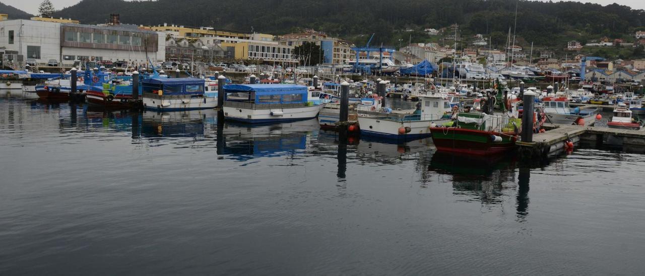 Flota de bajura amarrada en el puerto de Bueu. |   // GUSTAVO SANTOS