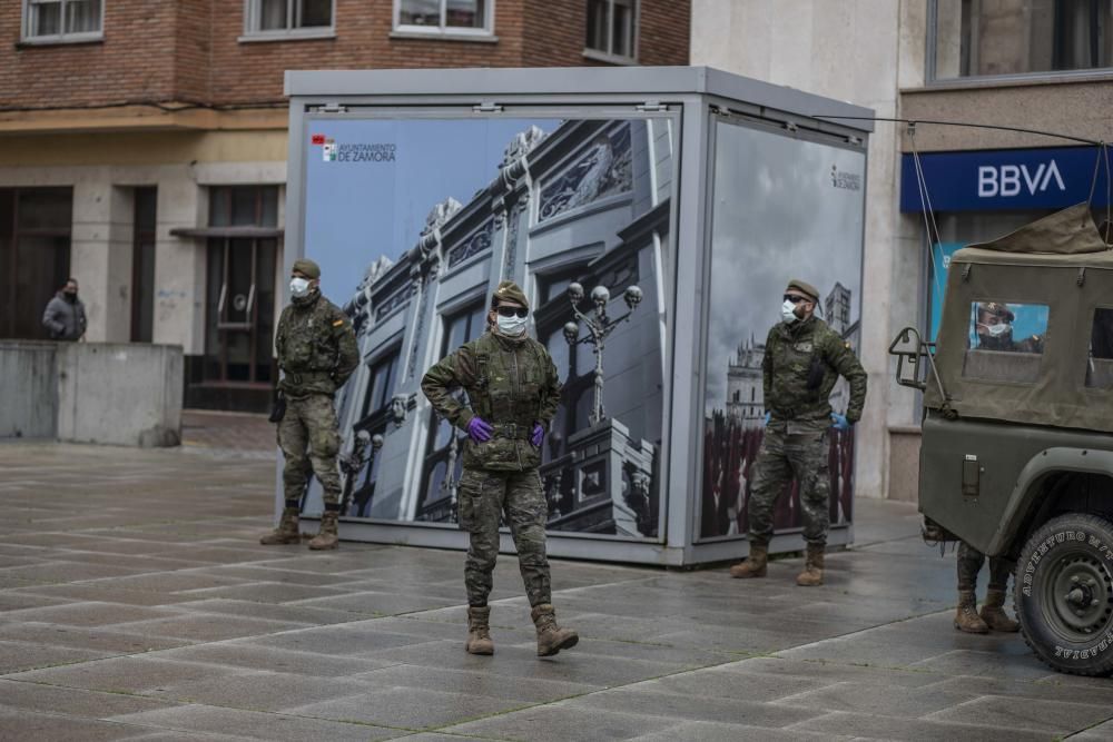 Las imágenes del Ejército de Tierra en Zamora