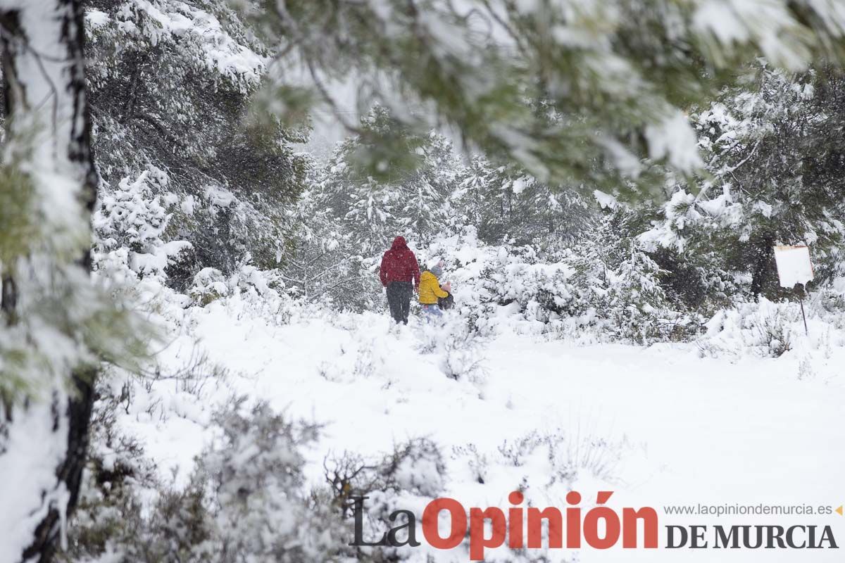 Continúa la nevada en las zonas altas de la comarca del Noroeste