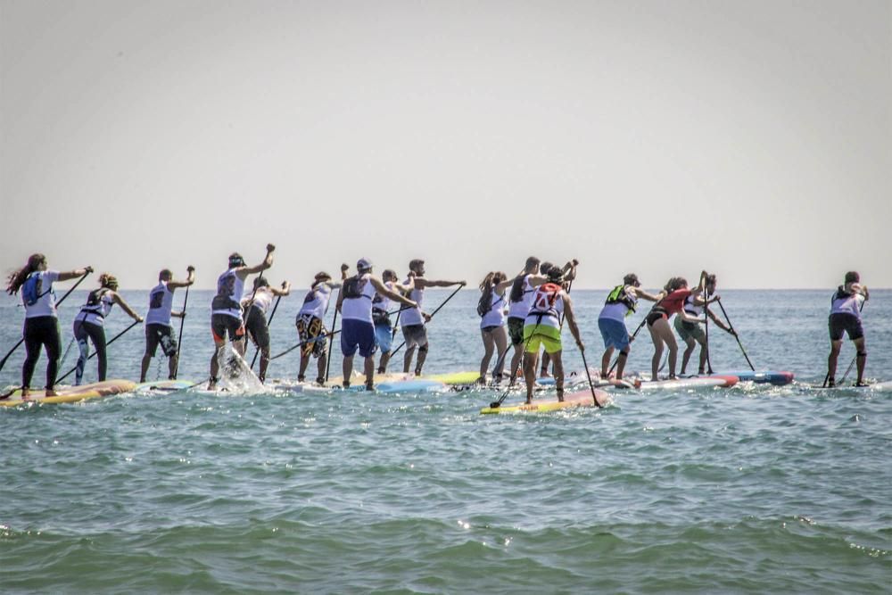 Campeonato de Paddle Surf en Torrevieja