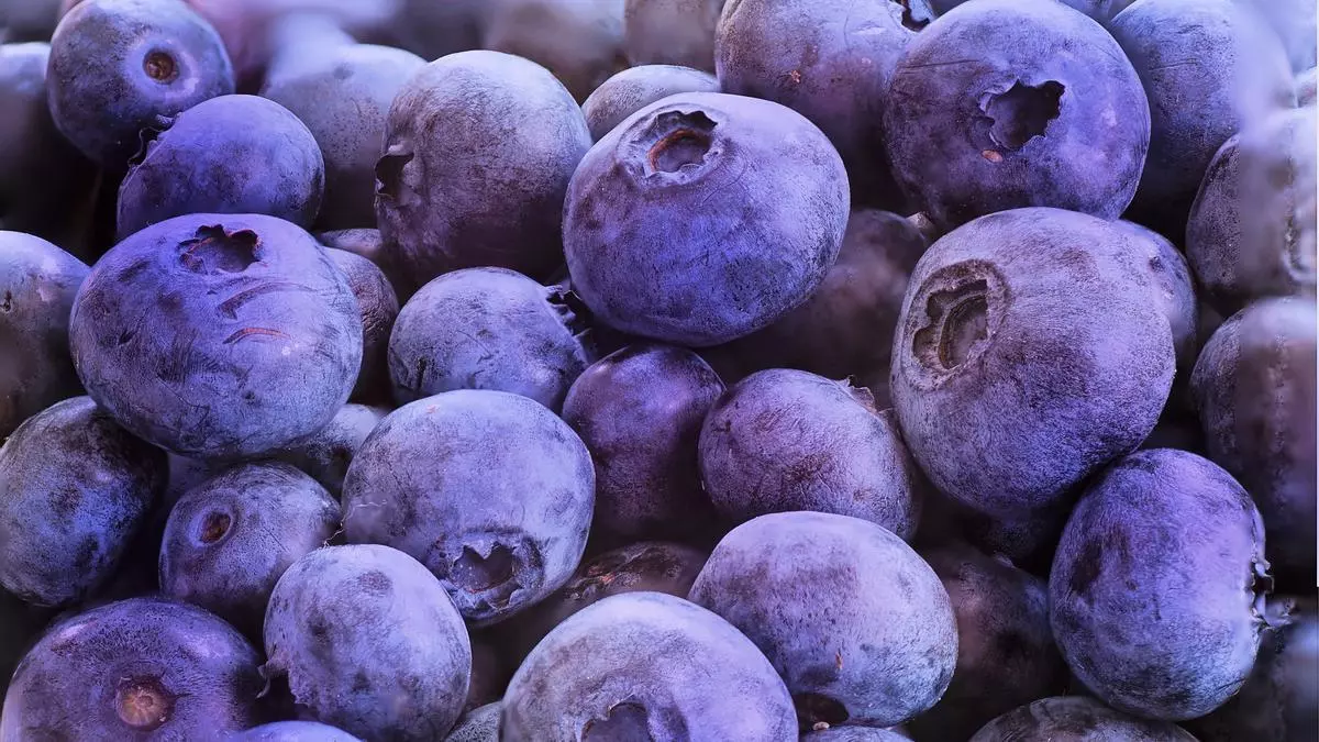 La fruta ideal para mayores de 50 años que mejora la memoria y controla el colesterol
