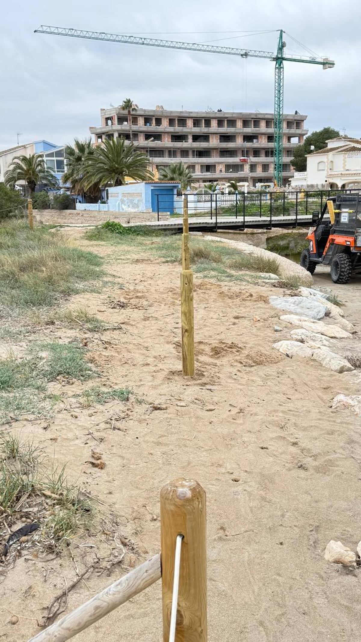 Aquestes aus estan ara en època de nidificació