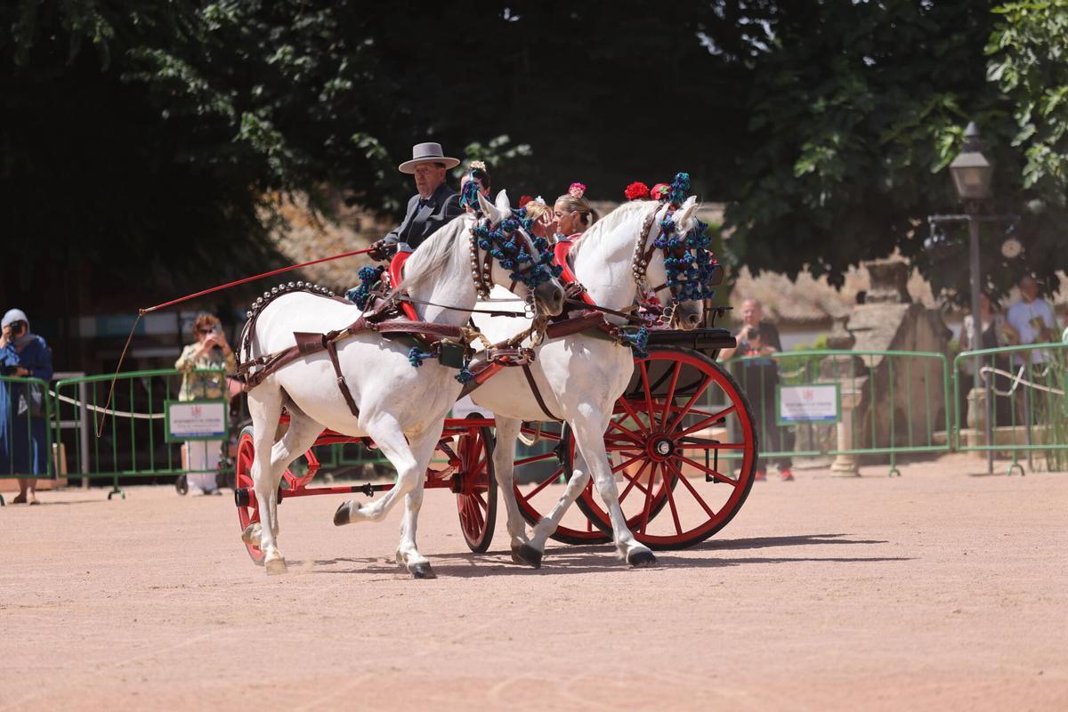 El arte ecuestre toma los Jardines del Alcázar de los Reyes Cristianos para dar el pistoletazo de salida a la Feria de Nuestra Señora de la Salud