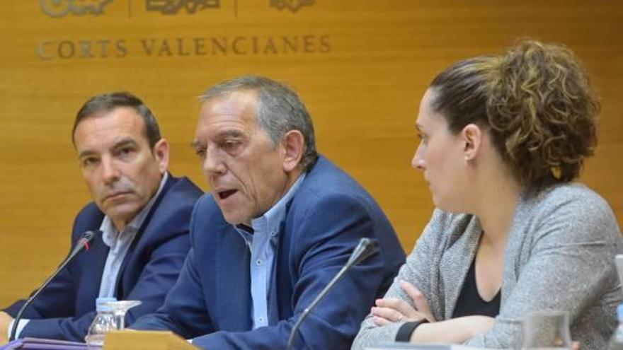 El secretario autonómico de Educación, Miquel Soler, en el centro, ayer en las Corts.