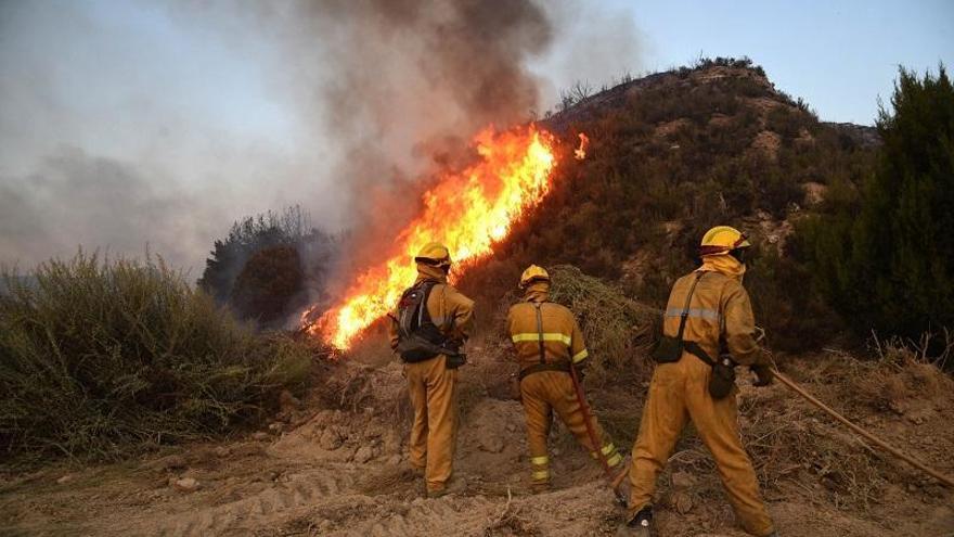 Los sindicatos atacan el cambio de gestión forestal de Aragón que planea Podemos