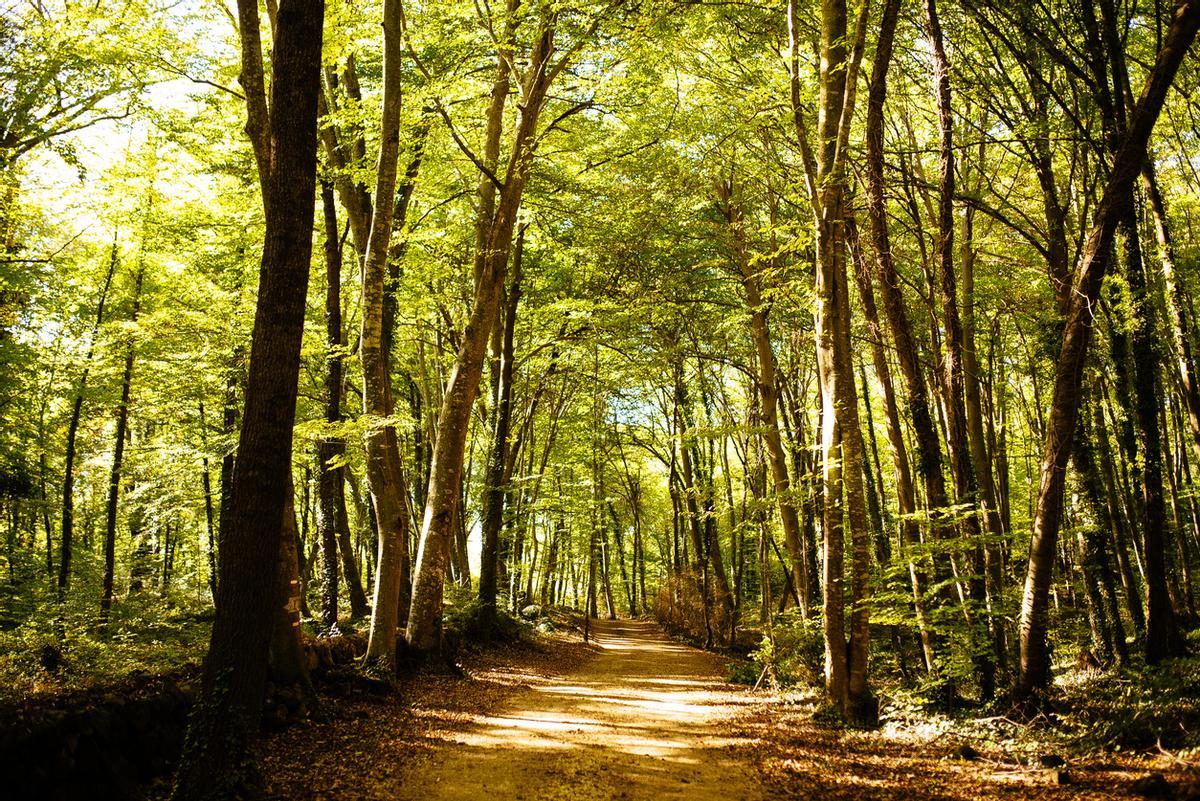 La serra del Corb ofrece un paisaje lleno de belleza por donde pasear con tranquilidad