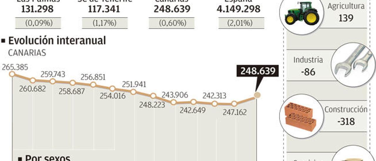 El paro se reduce un 6% en Canarias durante el Gobierno de Rajoy