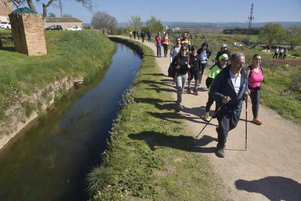 Totes les fotos de la Transèquia 2020