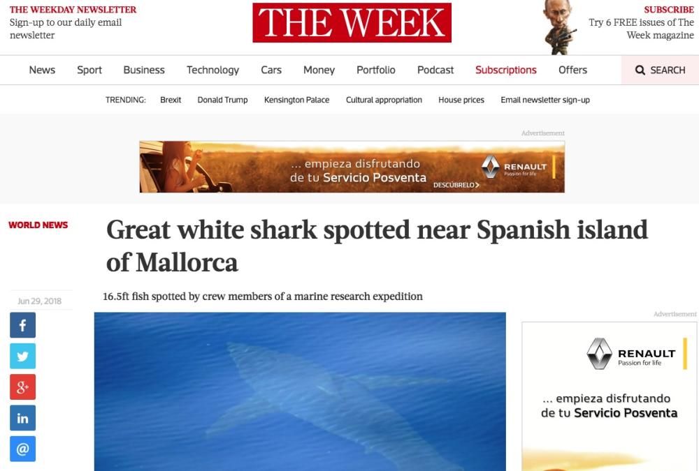 El tiburón blanco avistado en Cabrera, en la prensa europea