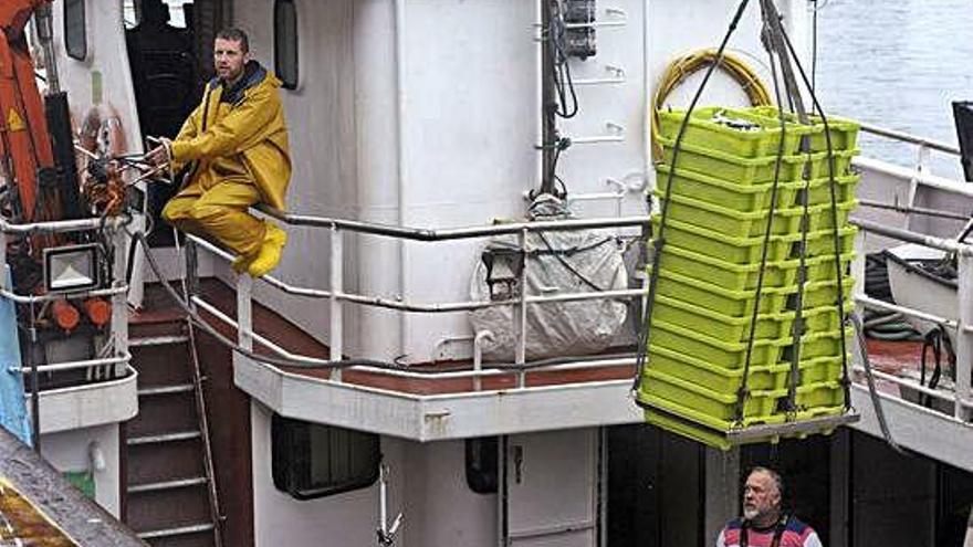 Pescadores descargan cajas de anchoa de un cerquero en el puerto de A Coruña.