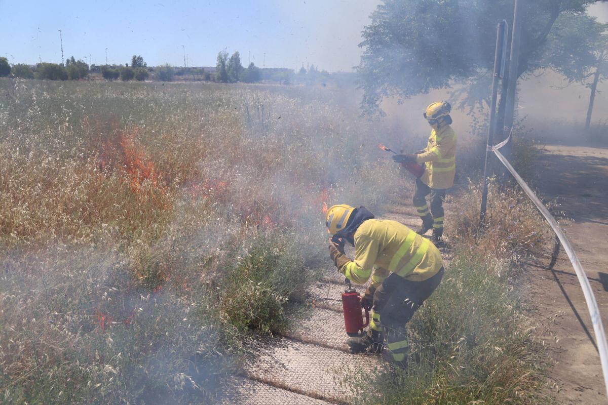 Quema controlada de pastos en Rabanales 21.