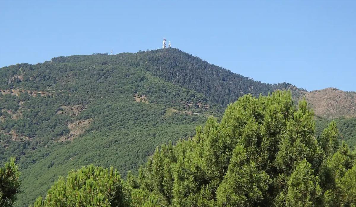 Paraje Natural de los Reales de Sierra Bermeja