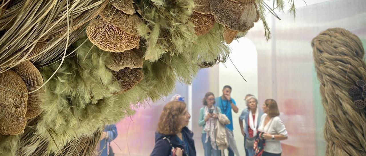 Flora 2022 abre bajo la lluvia