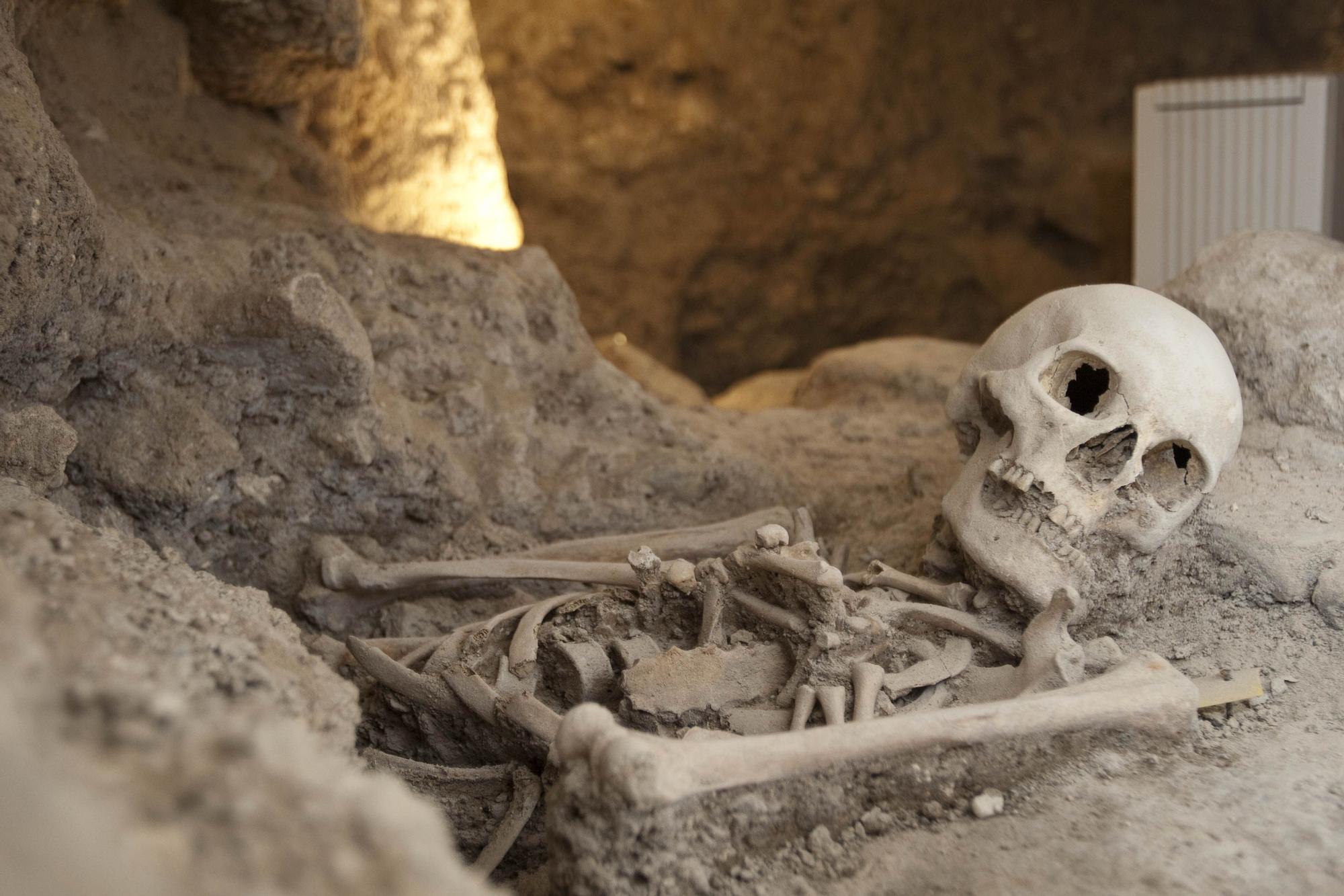 Los secretos de la Catedral de València