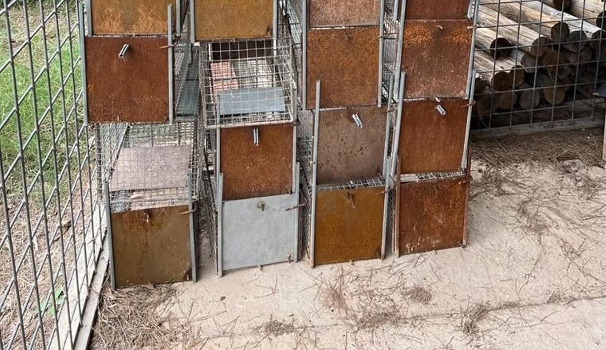 Jaulas para jilgueros capturados ilegalmente en la Región de Murcia