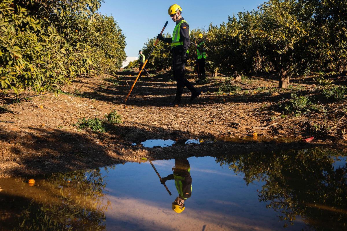 Rastreos de la Guardia Civil en los campos de naranjos del barranco del Poyo