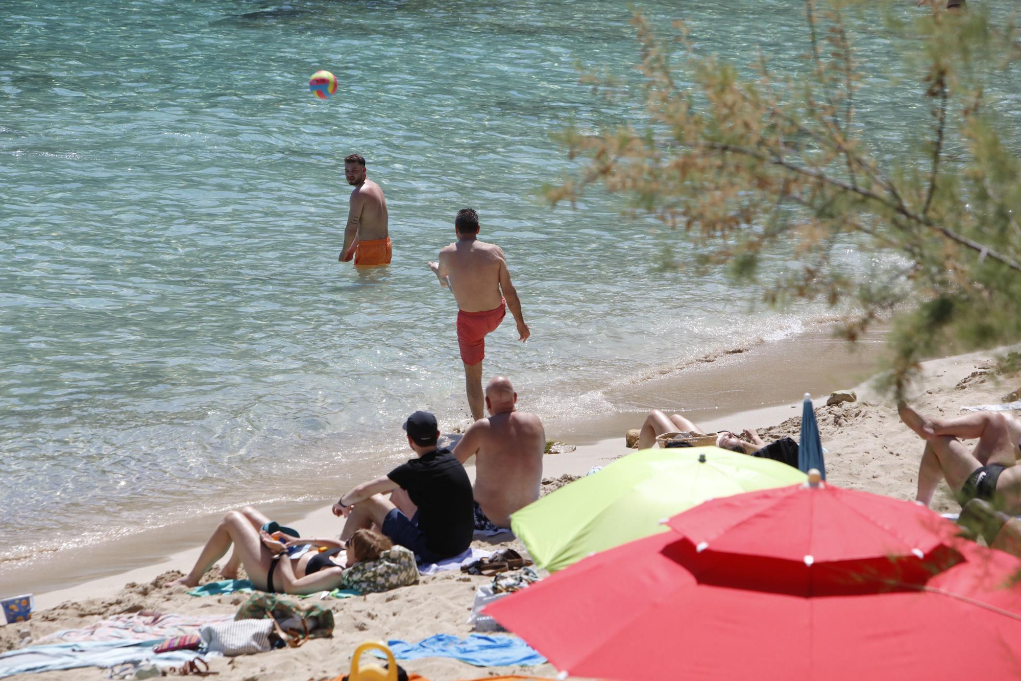 Überfüllte Traumbucht auf Mallorca: So sieht Cala Gat bei Cala Ratjada Anfang Juni aus