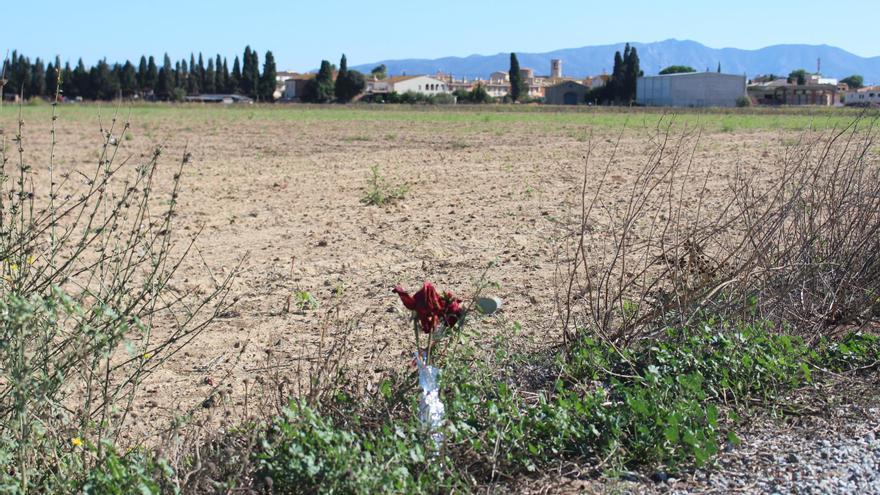 Dues roses treuen de l’oblit la massacre de Vila-sacra de 1939