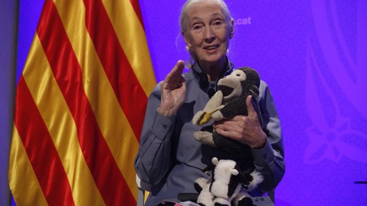 JANE GOODALL, PREMI INTERNACIONAL DE CATALUNYA,  EN LA RUEDA DE PRENSA EN LA GENERALITAT