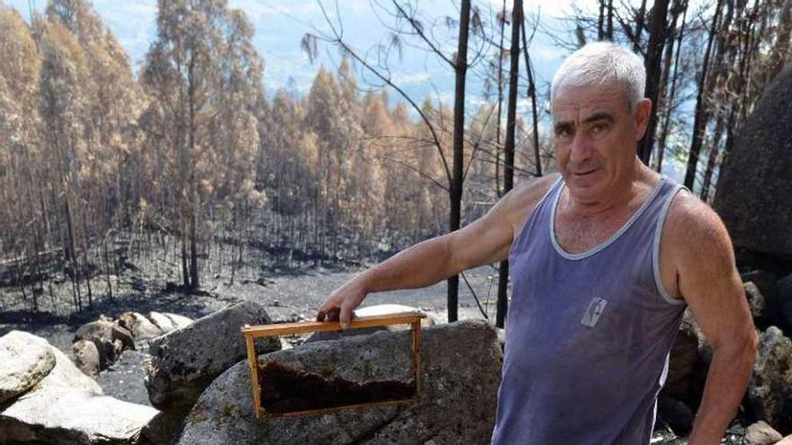 Antonio Reguera muestra un panal de abejas calcinado. // G. Santos