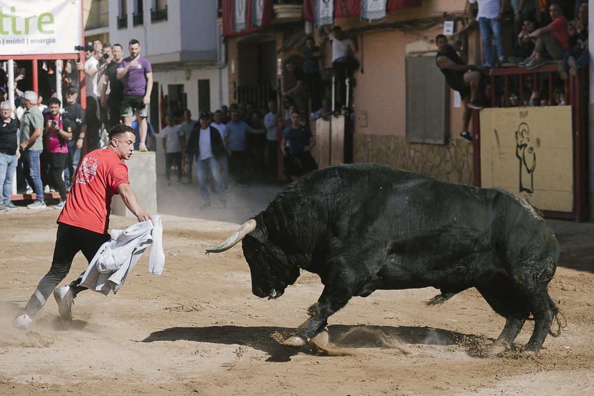 Otro instante de la exhibición del Zalduendo en las fiestas patronales de Sant Vicent. Otro instante de la exhibición del Zalduendo en las fiestas patronales de Sant Vicent.