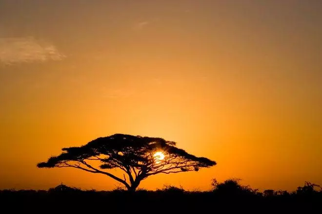 10 razones para enamorarse de Kenia