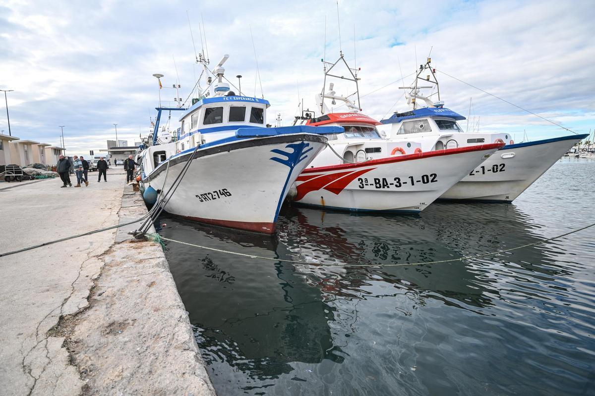 La flota pesquera alicantina amrrada contra las últimas exigencias de la Unión Europea