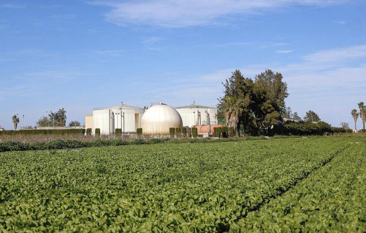 El lago de l’Albufera recibirá un aporte extra de 2,9 hm3 de agua del Xúquer