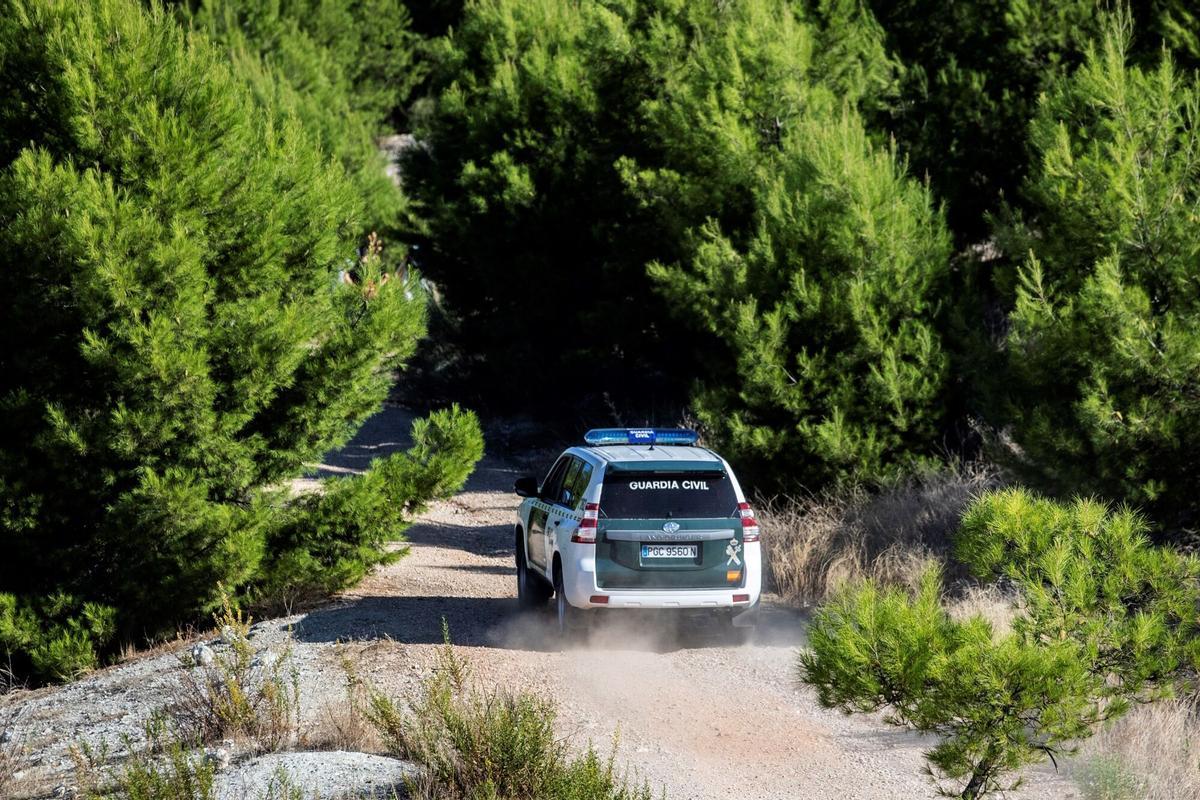 Un coche de la Guardia Civil en una zona boscosa.
