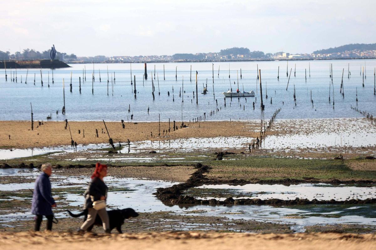 La ría asiste a las primeras "mareas vivas" del año.