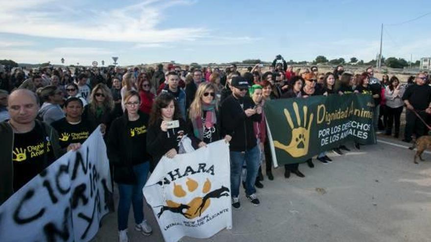 La protesta de animalistas contra Raúl Mérida.