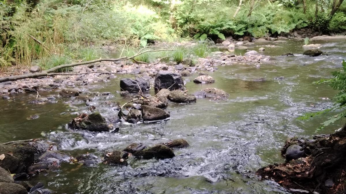 Bajo caudal de un río del área brigantina.