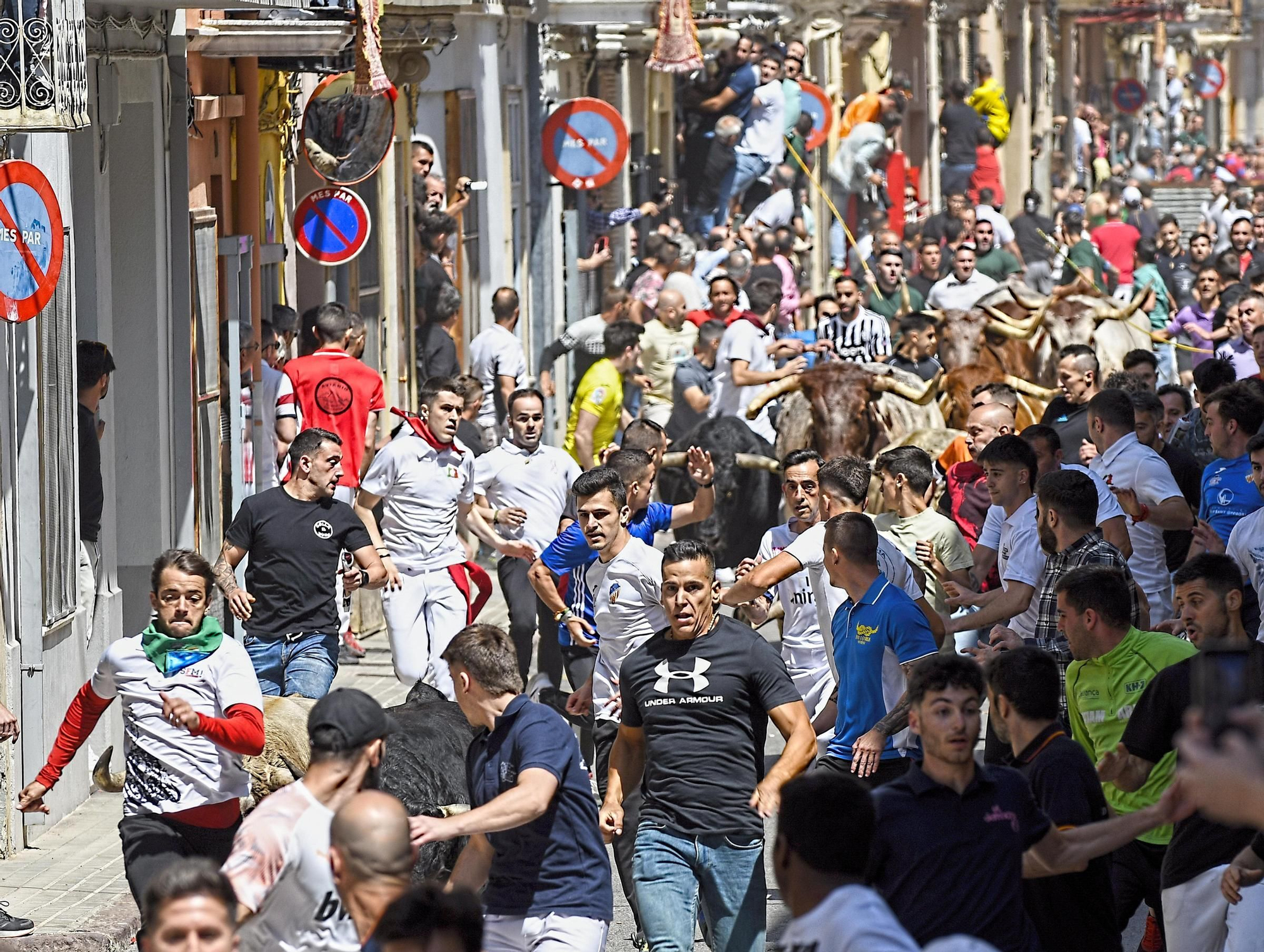 MACROGALERÍA DE FOTOS: Búscate en el encierro y los primeros 'bous' de las fiestas de Almassora