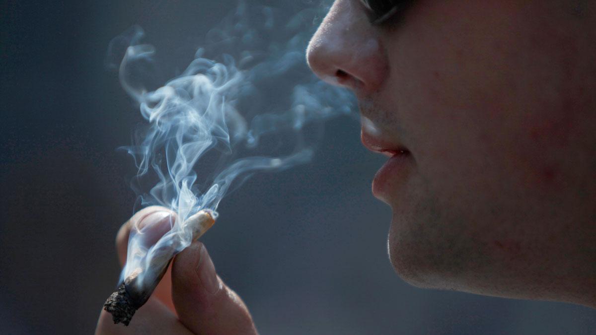ERC proposa legalitzar la marihuana als espais on es fuma tabac ERC proposa legalitzar la marihuana als espais on es fuma tabac