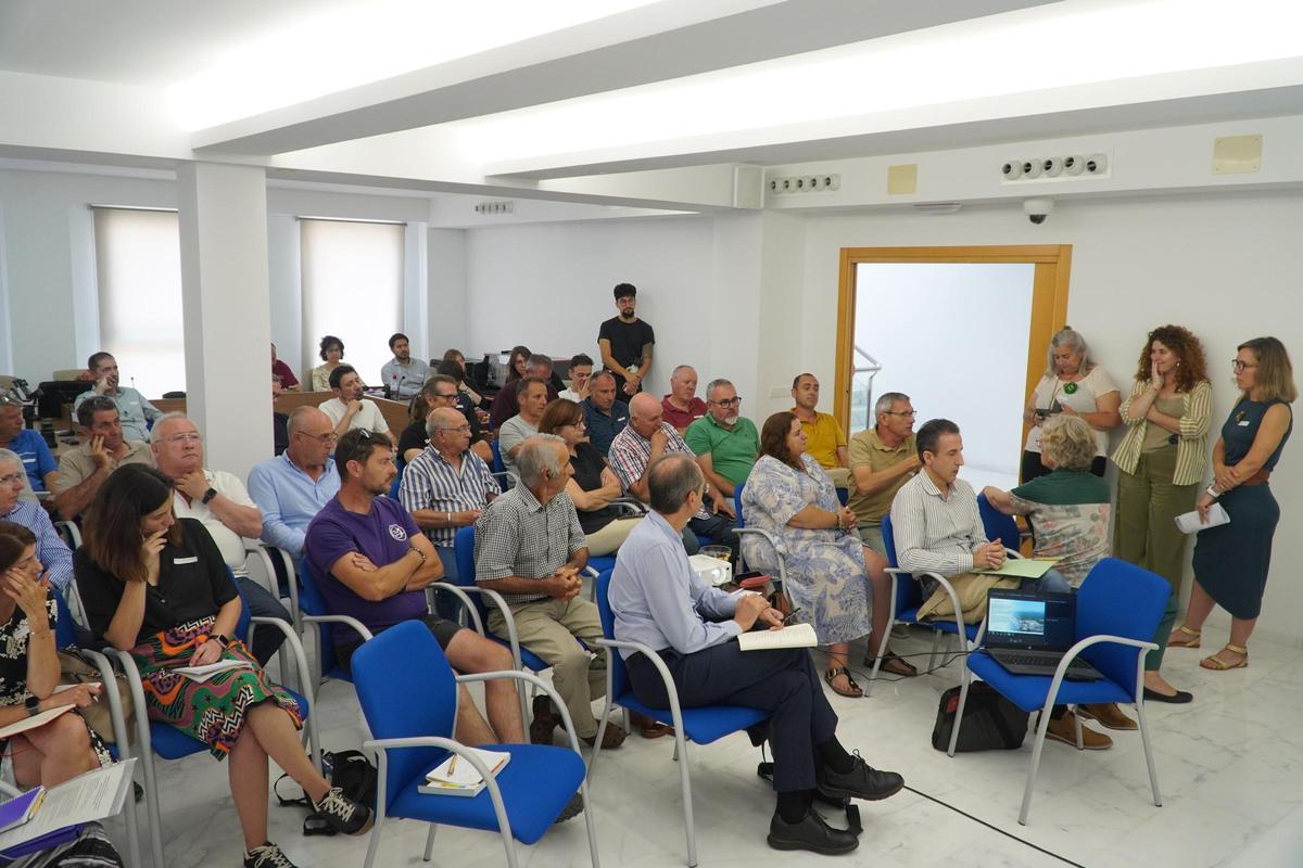 Participantes en el taller Rexus celebrado en Palma de Gandia.
