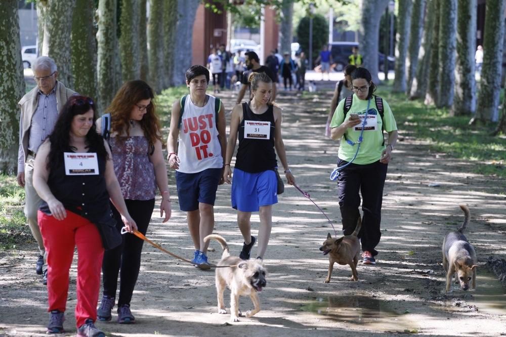 I Marxa Solidària Canina de Diari de Girona