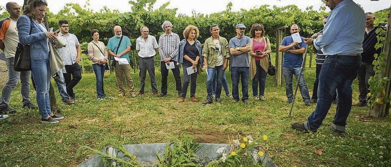 Asistentes al curso práctico celebrado en los viñedos de Martín Códax. // Iñaki Abella