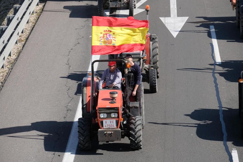 Tractorada en defensa del campo alicantino