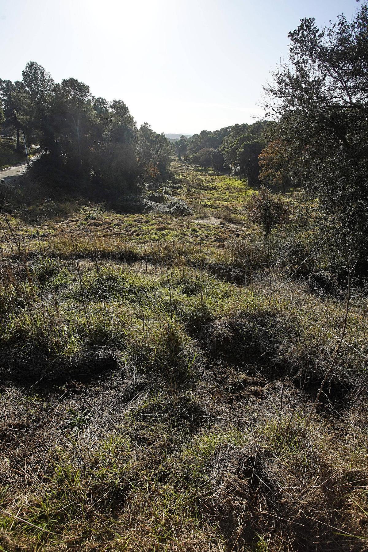 251217DDG_Marc Mart (228696822)