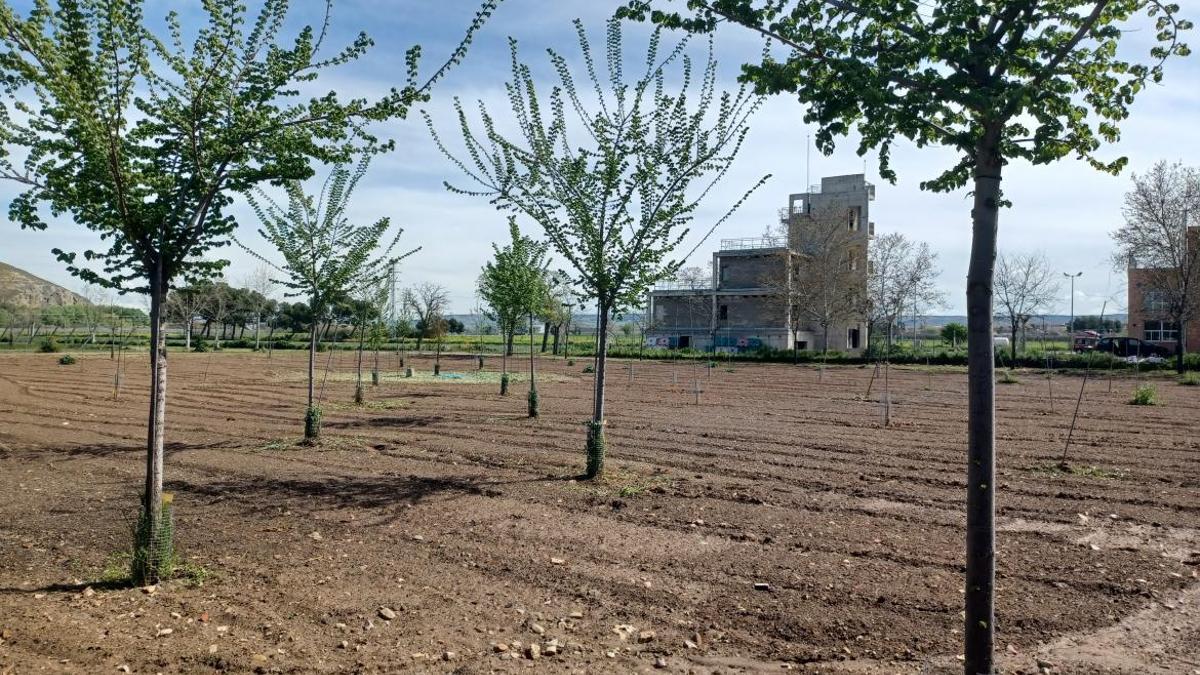 Instalaciones del Biformad en Arganda del Rey (Comunidad de Madrid).