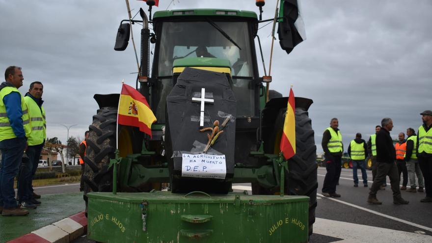 Cortan ya 430 en Valdivia