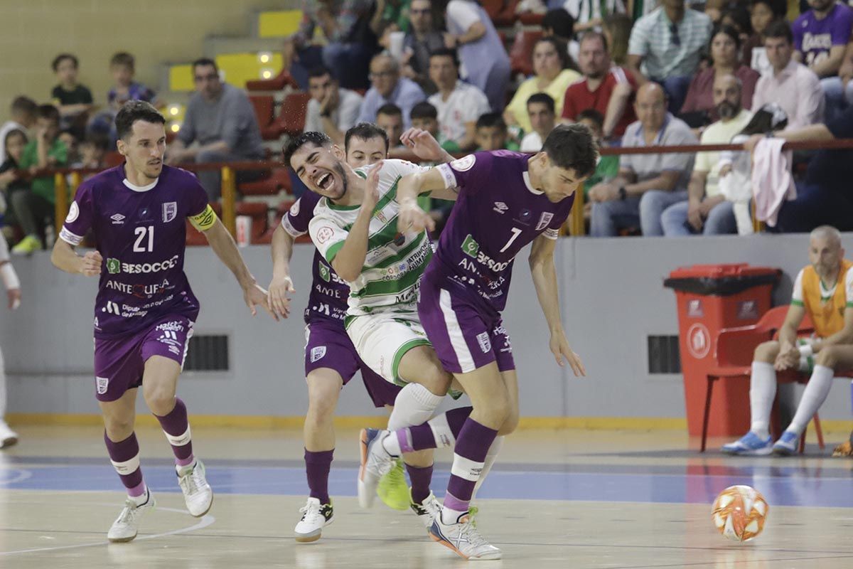 El Córdoba Futsal Antequera, en imágenes