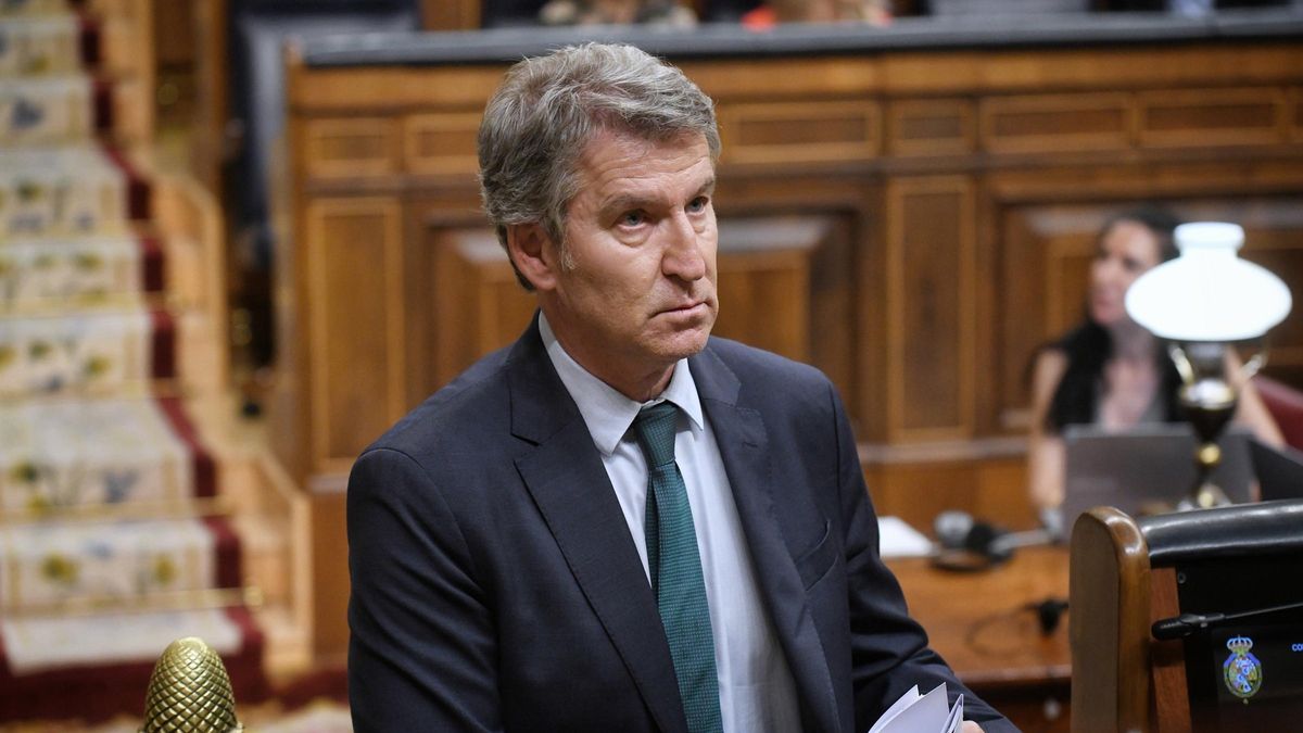 El presidente del PP, Alberto Núñez Feijóo, durante una sesión plenaria extraordinaria, en el Congreso de los Diputados este mes de julio