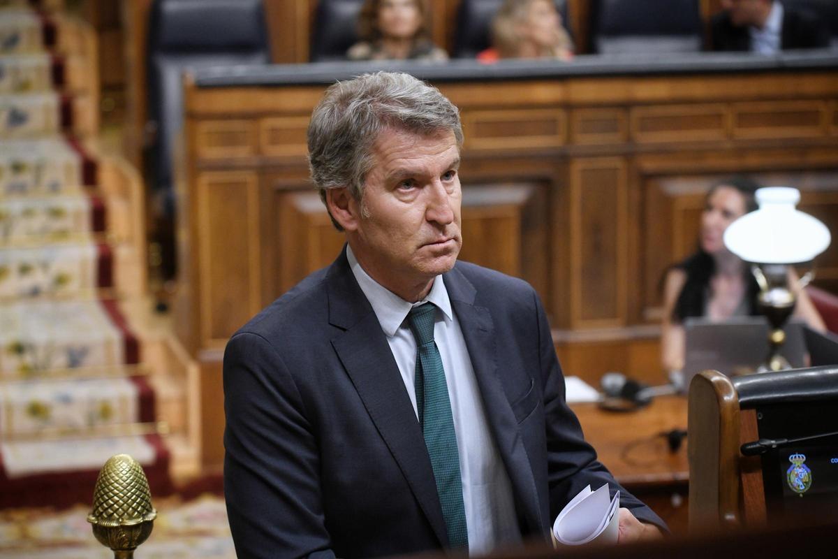 El presidente del PP, Alberto Núñez Feijóo, durante una sesión plenaria extraordinaria.