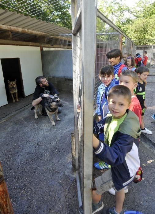 Visita de escolares a la protectora 'El Trasgu' en Mieres