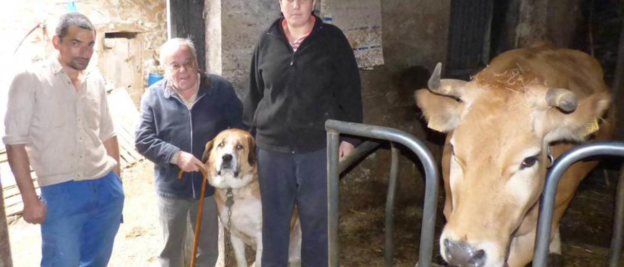 Higinio Arnaldo, Francisco Fernández y Marta Garrido en la cuadra con el perro &quot;Pin&quot;.