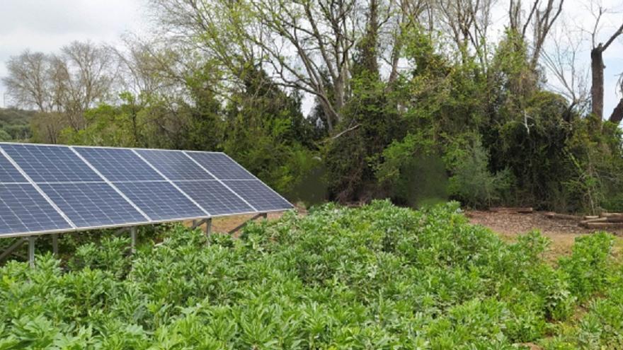 Un encuentro en la UCO analizará el futuro y los retos de la agrivoltaica