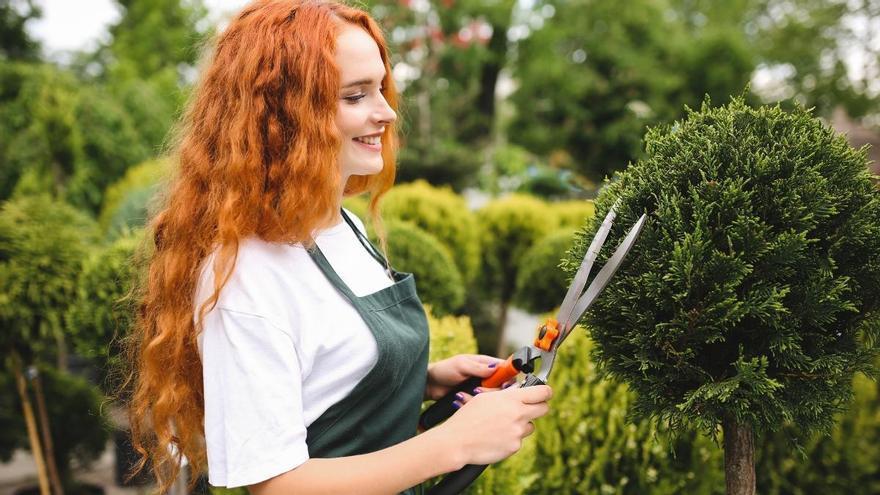 Las 7 tareas que deberías tener hechas en el jardín antes de que termine septiembre