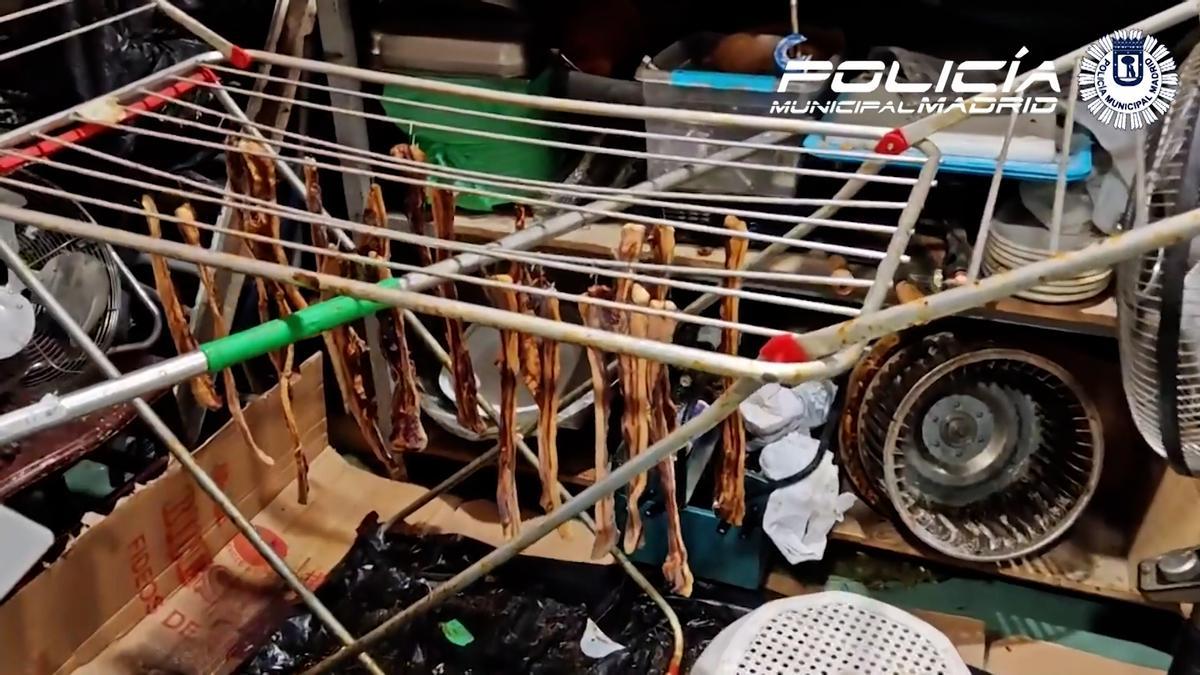Cierran un restaurante chino en Madrid por ofrecer carne de paloma en lugar de pato laqueado y comida podrida