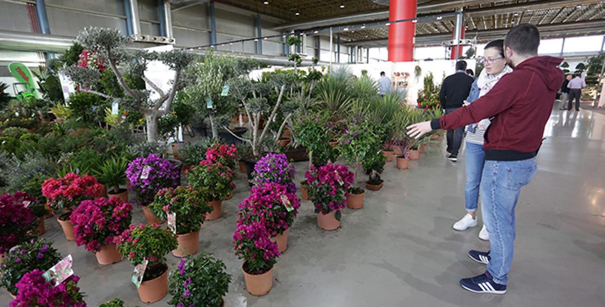 Viveralia 2019 convertirá a IFA en un paraíso de naturaleza